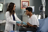 16x13-7.jpg (3.96 MB)