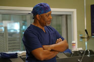 Dr. Webber