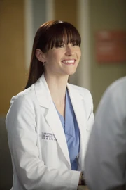 Chyler Leigh as Lexie Grey