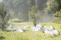 S197x10BTS1.jpg (6 MB)