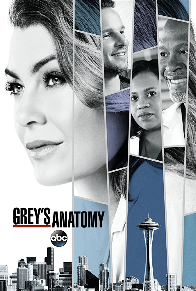 8° Temporada (Grey's Anatomy), Grey's Anatomy Wiki