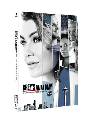 GreysAnatomyS14DVD