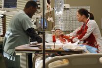 Nick Hanscom | Grey's Anatomy Universe Wiki | Fandom