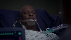 Richard Webber