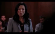 Katie's Lawyer