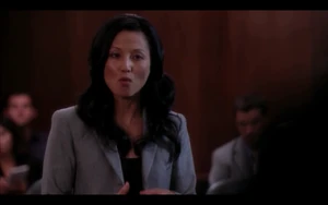 Katie's Lawyer