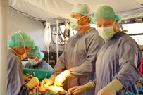 13x08-10.jpg (85 KB)