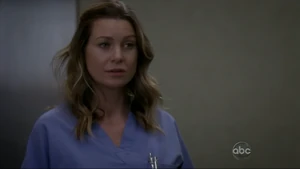 Meredith Grey