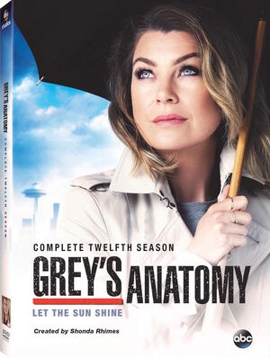 GreysAnatomyS12DVD