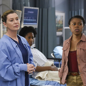 Pro Bono Surgery Day Grey S Anatomy Universe Wiki Fandom