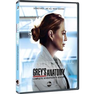 GreysAnatomyS17DVD