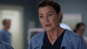Meredith Grey