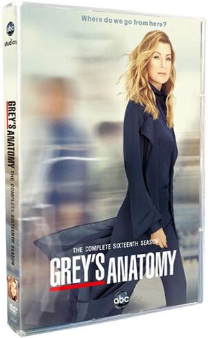 GreysAnatomyS16DVD