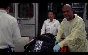 The Lion Sleeps Tonight