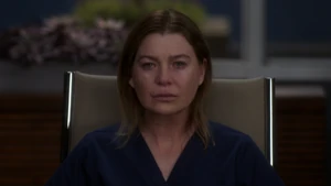 Meredith Grey