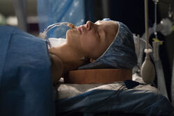 I Want a New Drug Grey s Anatomy Universe Wiki Fandom