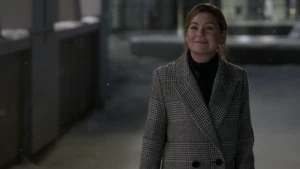 Meredith Grey
