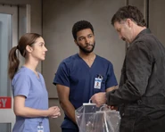 21x16-21.jpg (58 kB)