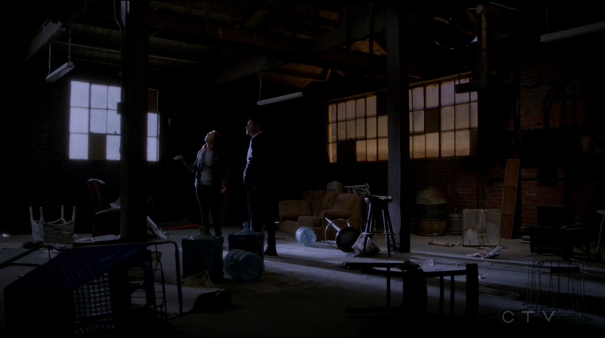 Levi and Taryn's Loft | Grey's Anatomy Universe Wiki | Fandom