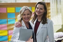 11x13BTS1.jpg (66 KB)