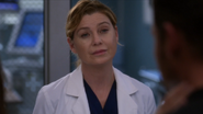 14x10MeredithGrey