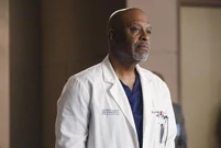 11x13-14.jpg (40 KB)