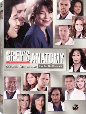 GreysAnatomyS10DVD