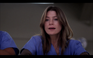 306MeredithGrey