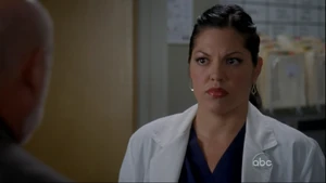 Callie Torres