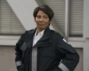 14x07-26.jpg (970 KB)