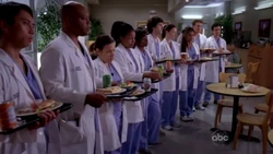 Internship | Grey's Anatomy Universe Wiki | Fandom