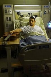 12x17-15.jpg (58 KB)