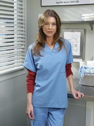 Season 2 (Grey's Anatomy), Grey's Anatomy Universe Wiki