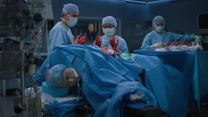 We've Only Just Begun