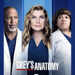 Sidereel greys anatomy season 15 2025