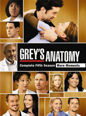 GreysAnatomyS5DVD