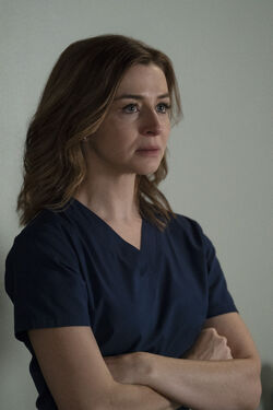 Grey's anatomy shelter from cheap the storm watch online