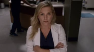 Arizona Robbins