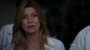 Meredith Grey