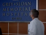 Grey Sloan Memorial Hospital