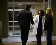 12x15-27.jpg (75 KB)