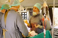 13x08-22.jpg (85 KB)