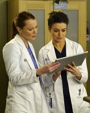 12x17-12.jpg (51 KB)