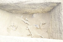 16x06BTS2.jpg (3.98 MB)