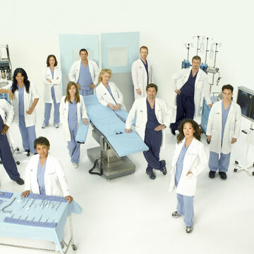 Season 5 Grey S Anatomy Grey S Anatomy Universe Wiki Fandom