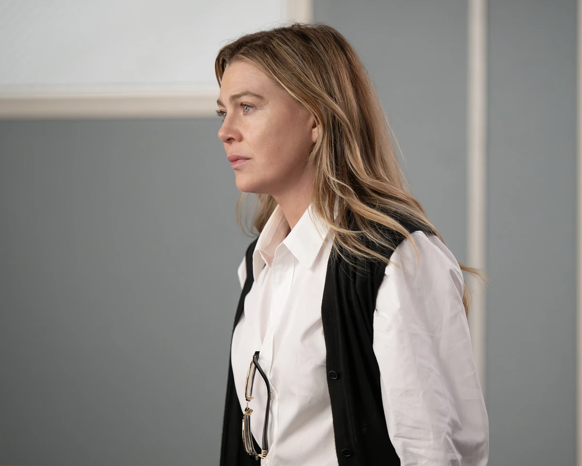 Meredith Grey | Grey's Anatomy Universe Wiki | Fandom