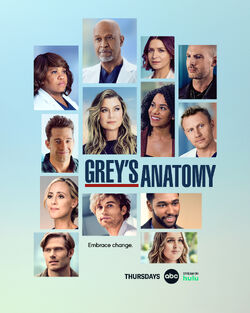 Season 18 Grey S Anatomy Grey S Anatomy Universe Wiki Fandom