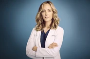 Kim Raver como Teddy Altman