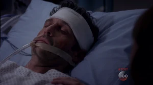 Derek Shepherd