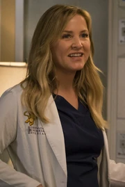 Jessica Capshaw as Arizona Robbins